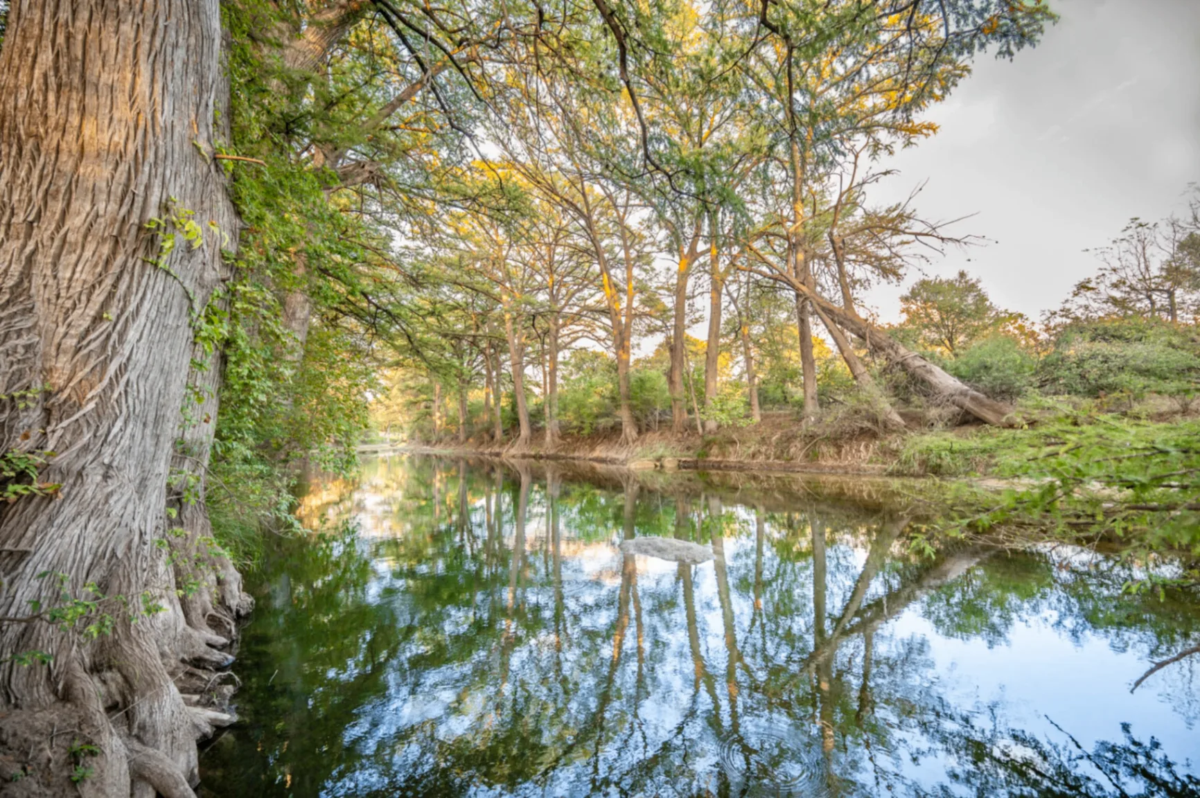 Texas Hill Country landscape
